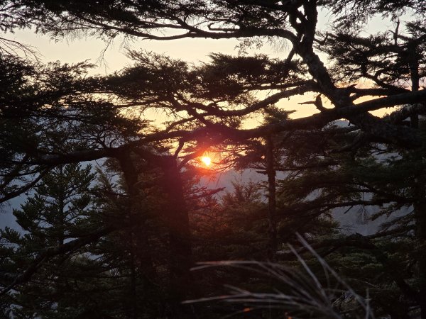 20260319-0324 南一段3036484