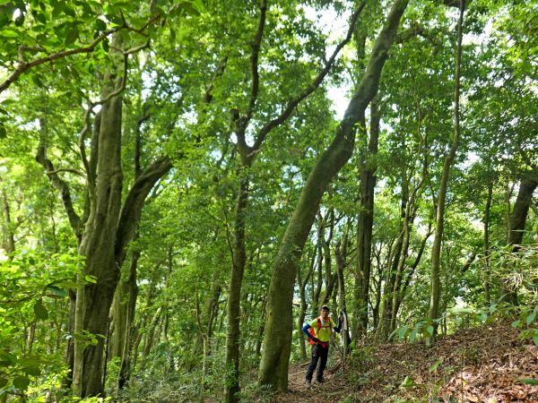 再登虎山  2018/5/26338795