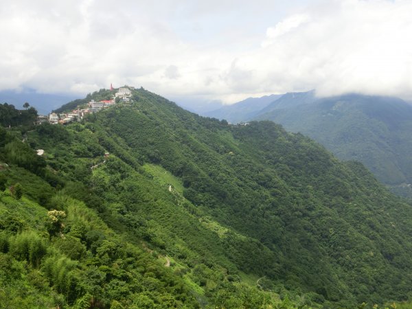 拉拉山神木群．巴陵古道620775