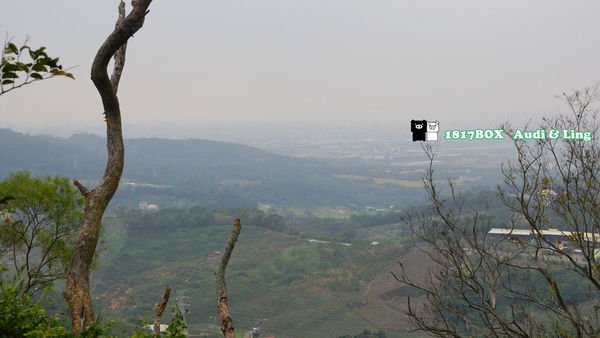 鳳凰山步道。觀音山步道492004