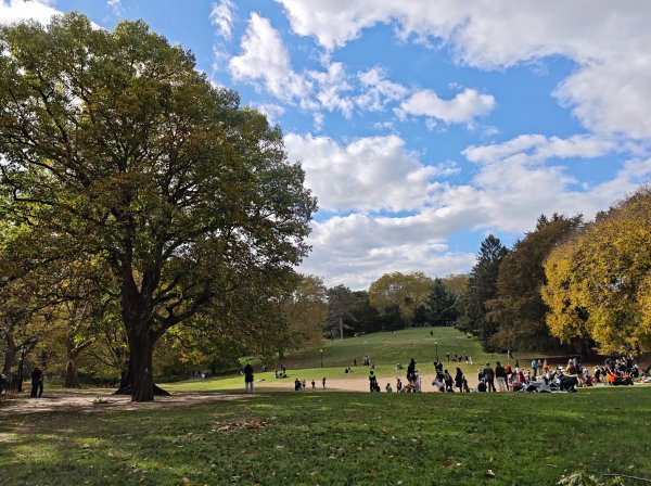 [紐約馬之行-11] 2025_1101 中央公園-畢士大露臺2945112