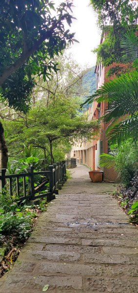 2024-06-15觀音山【福隆山、尖山(占山)登山步道】O走2528243