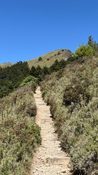 一日單攻桃山2903275