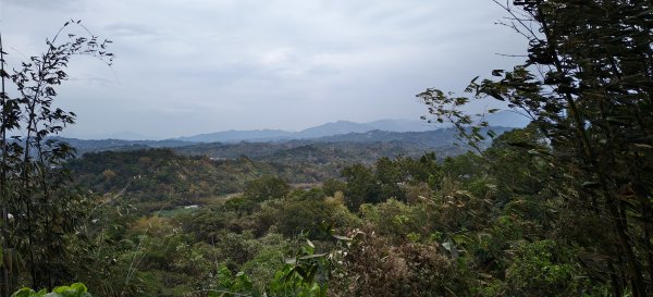 2026/02/27-荷苞山登山步道3010044