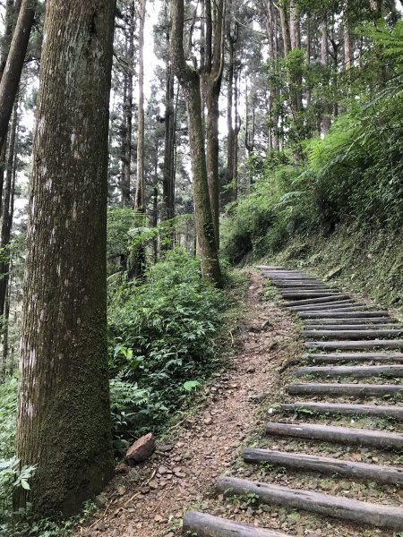 109年7月12日嘉義大凍山1040214