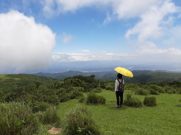 夢幻路線。感受四季倒著走的變化977166