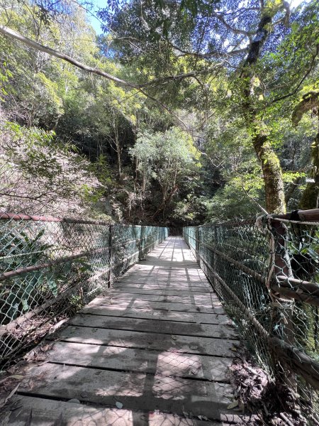 ~ 上帝的部落 - 司馬庫斯 ~3023511