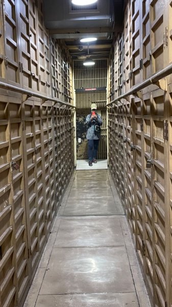 雨天備案💙 台灣博物館的古生代館-台大動植物館免費參觀-北投♨️季2799028