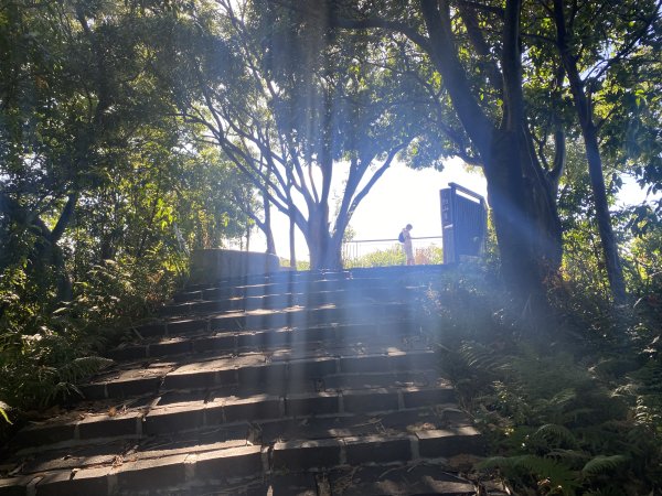 【四獸山 Short】虎豹象先行！獅山封閉中，等新步道開箱再相見2888813