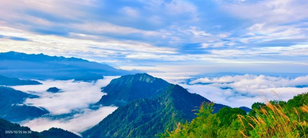 #馬那邦山 #琉璃光 #日出 #雲海 #山羌 #楓葉 10/25 & 11/12924626