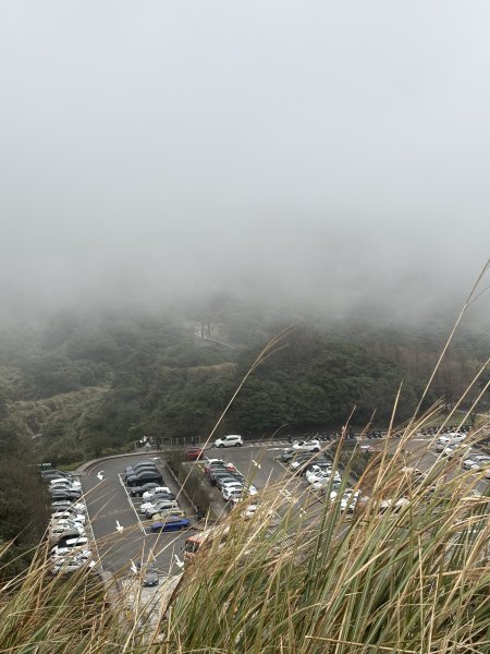 陽明山東西大縱走-東段2984552