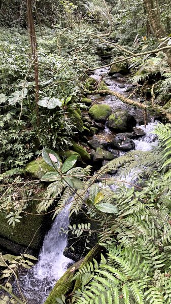 瑞芳三小山+貂山古道1438537