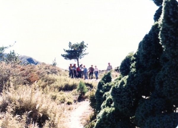 1986年，八通關山、秀姑巒山、達芬尖山20896