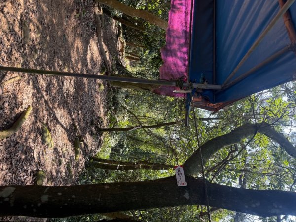 20260221 飛沙新路3003417