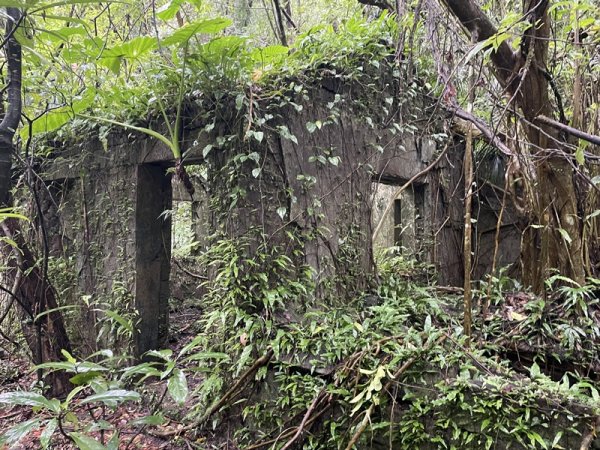 武山坑炭窯2990731