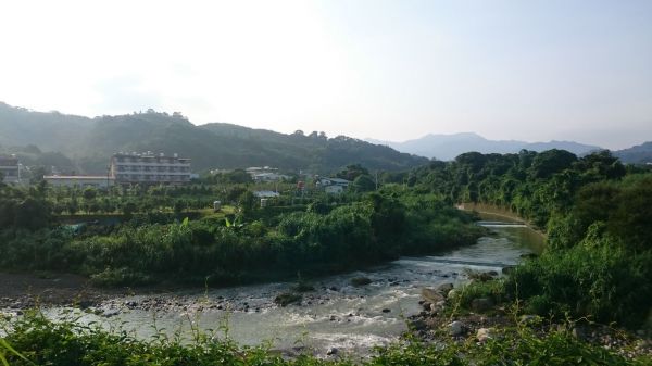 小中嵙登山步道384874