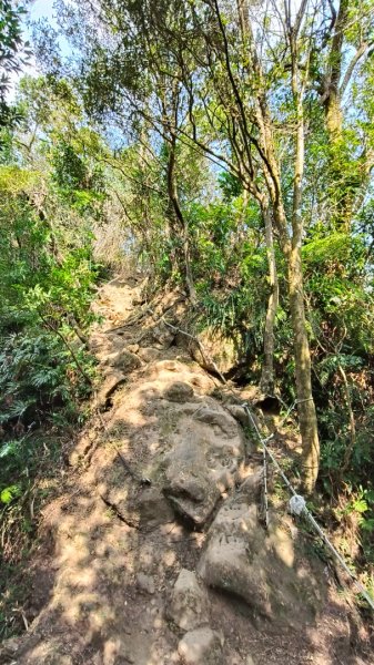 叮叮叮：一個人的微笑山線😊2917435