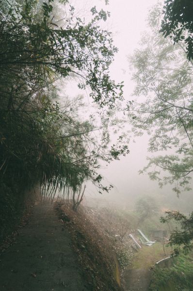 谷關七雄之二｜馬崙山393270