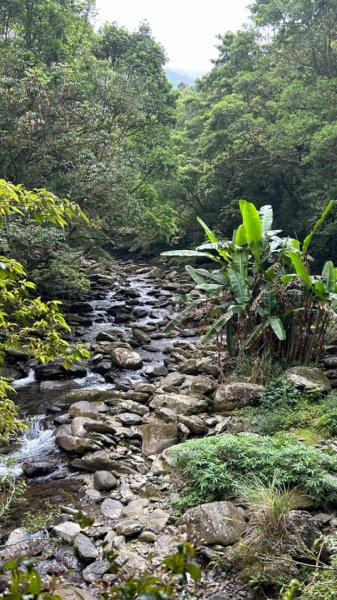 礁溪小礁溪山桶後越嶺步道2488308