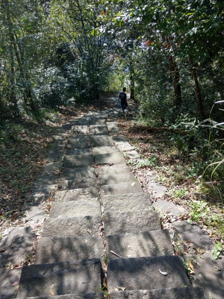 新竹飛鳳山(中坑山)小百岳880218