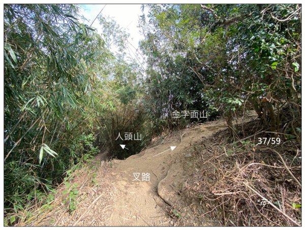 旗靈縱走(旗尾山、福美山、金字面山、人頭山、靈山)2996491