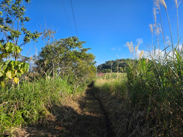 月眉山（小百岳）3000554