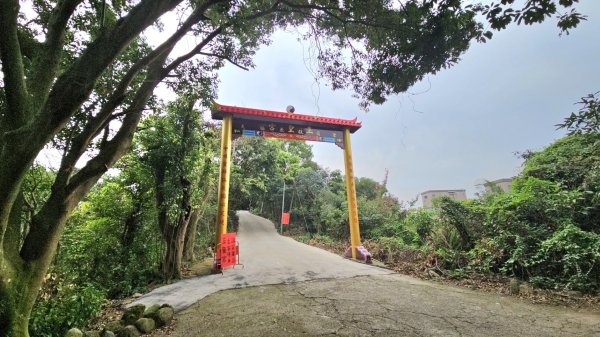 圓通寺烘爐地登山步道大O走3007050