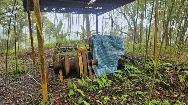 20260328赤玉o型3029884