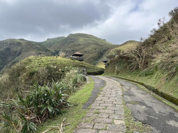 大里車站-灣坑頭山-福隆車站之健行+火車旅行2643902