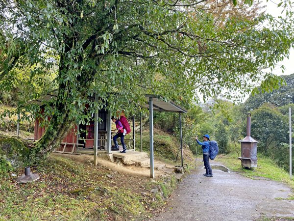 風雨中三上奇萊南峰、南華山900963