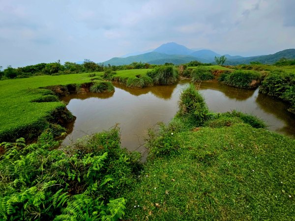 2026年臺北大縱走第三段：小油坑至風櫃口3037900