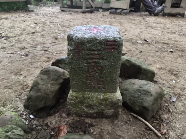 [百山百鳥尋旅-10/15] 2025_0920 溪洲山步道(福山巖登山步道)2893137