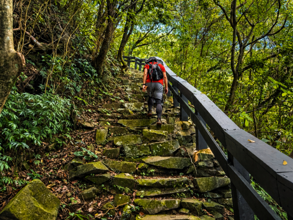 青山瀑布與老梅冷泉3113630