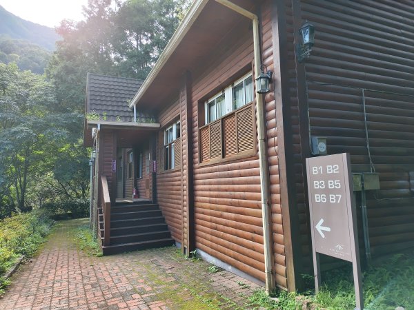 [百山百鳥尋旅-07/15] 2025_0831 八仙山國家森林遊樂區步道群2875957