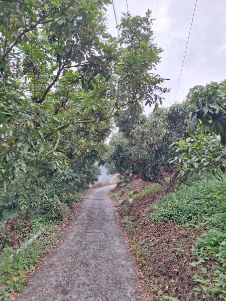 烏山嶺水利古道+鳥子嶺O型2967436
