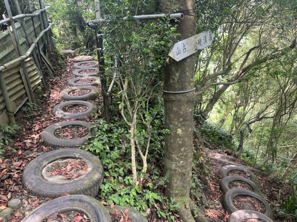 [2024觀音觀鷹尋寶任務-5/7] 2024_0511 觀音山、尖山(占山)登山步道2502063