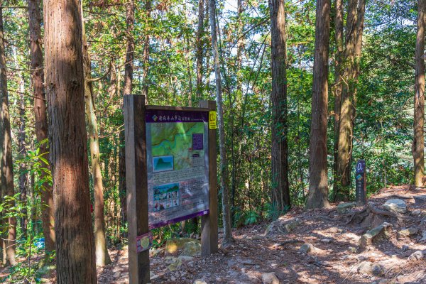 谷關七雄_唐麻丹山3015614