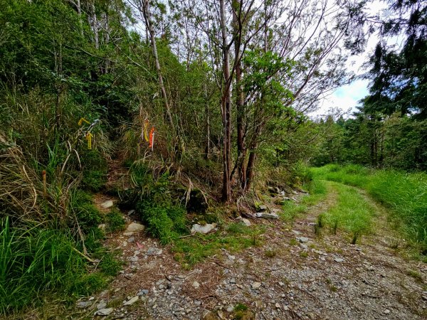 三星山-小百岳#85-宜蘭縣大同鄉2827532