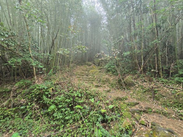 馬那邦山之雲海／雲瀑／楓紅／太陽琉璃光2668238