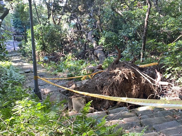 《踏青北投｜捷運唭哩岸到新北投・串走奇岩山、軍艦岩、幸福石》2979011