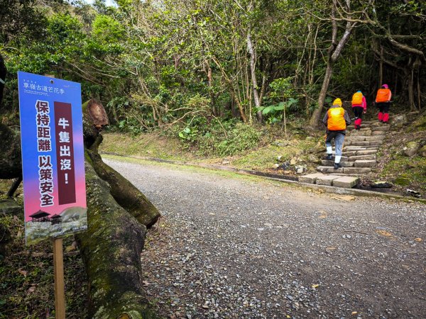 2025-01-19 大里天公廟~埡口2695378