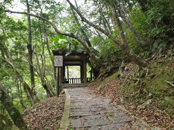 組合山滿月圓山回程順訪滿月圓森林遊樂區1570983