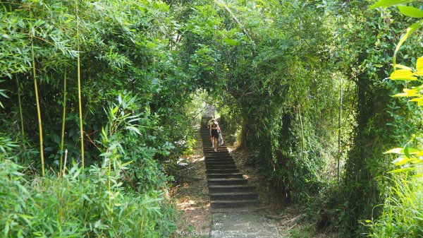 《台中》貓仔龍貓｜后里鳳凰山觀音山登山步道O繞202505042777233
