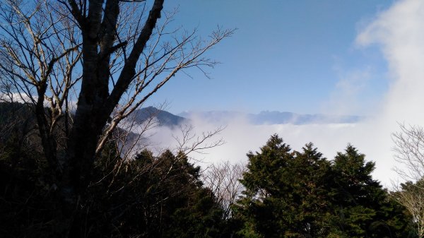 20190124太平山見晴懷古步道512477