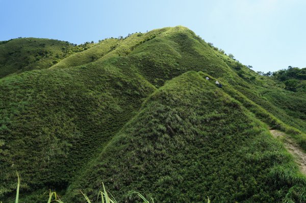 宜蘭 礁溪 三角崙山2548282