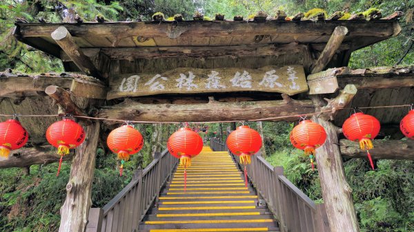 鐵杉林步道,見晴步道,鳩之澤步道2588278