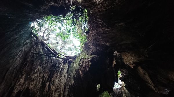 特富野古道234892