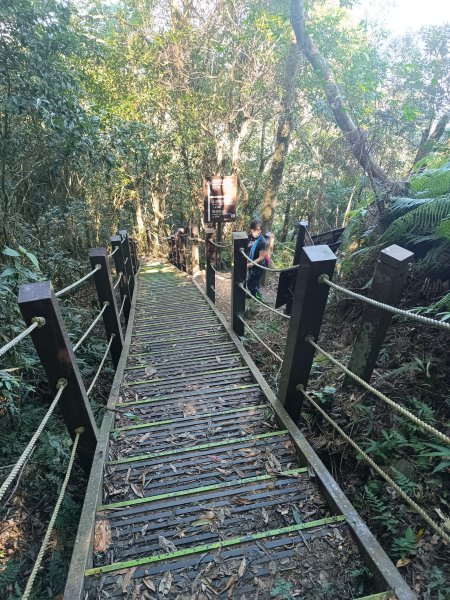 苗栗馬拉邦山2983716