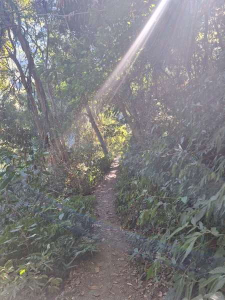 谷關蝴蝶谷瀑布202511202940800