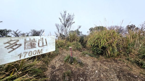 東北季風起遊走雲瀑和山毛櫸間的啦卡山與北插天山登山行2951090